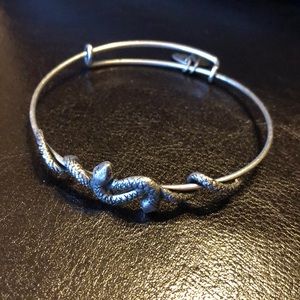 Alex and Ani serpent bracelet